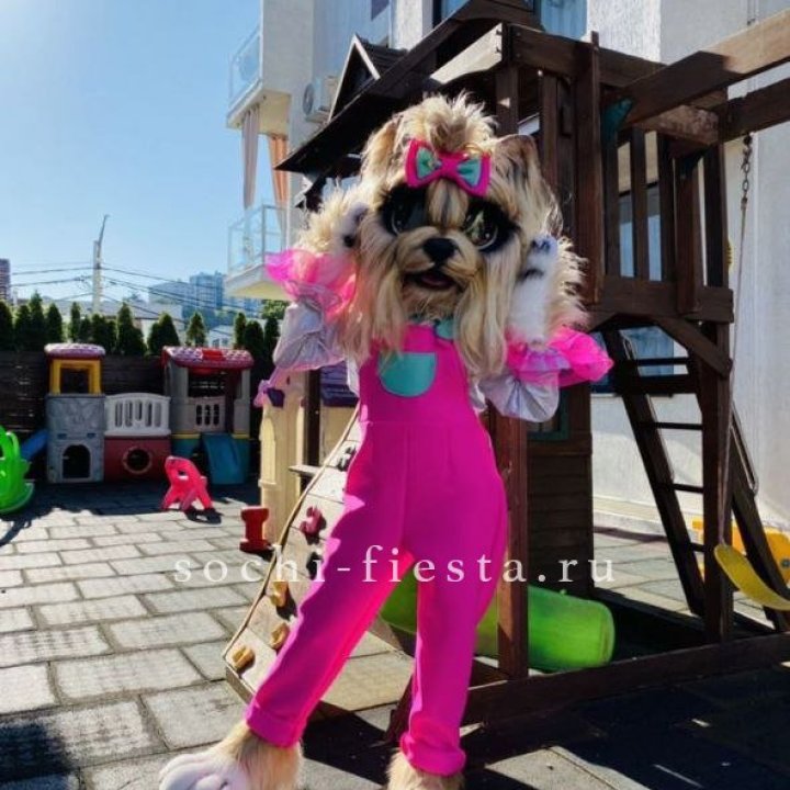 Аниматор Гламурная Собака в Шахтах