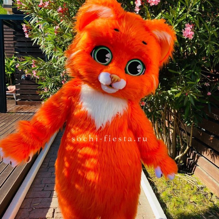 Аниматор Котик в Шахтах