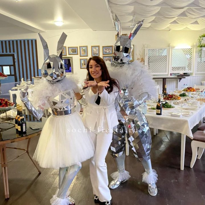 Аниматор Зеркальный заяц в Шахтах