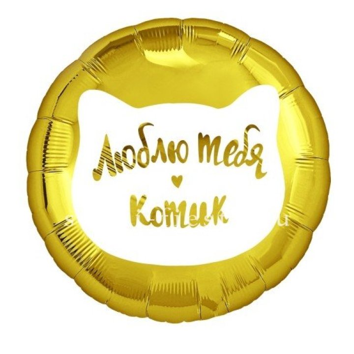 Фольгированный шар "Люблю тебя, Котик" в Шахтах
