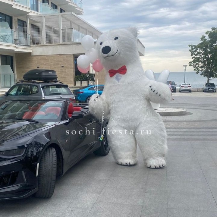 Аниматор Белый Медведь в Шахтах