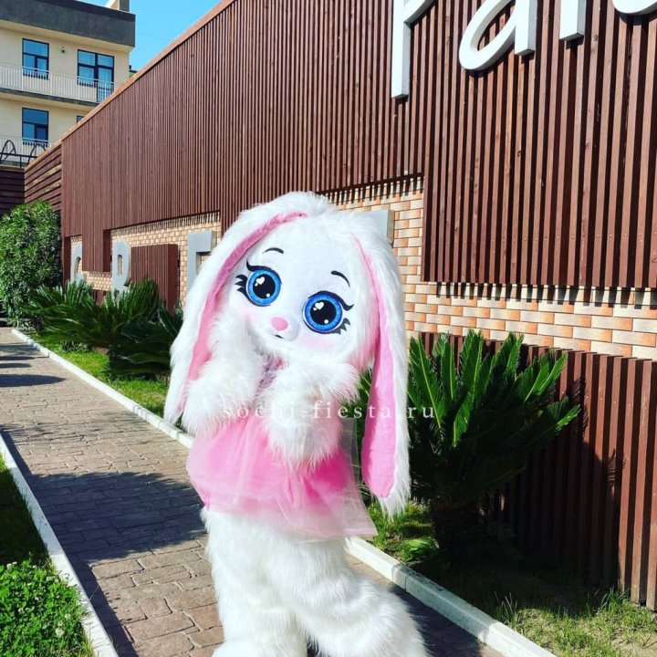 Аниматор Зайка в Шахтах