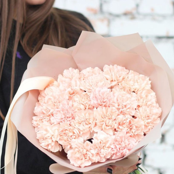 Диантусы №2 в Шахтах