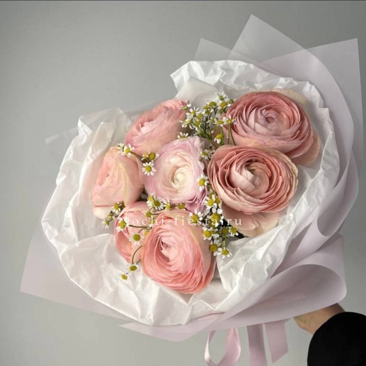 Ранункулюсы с ромашками в Шахтах