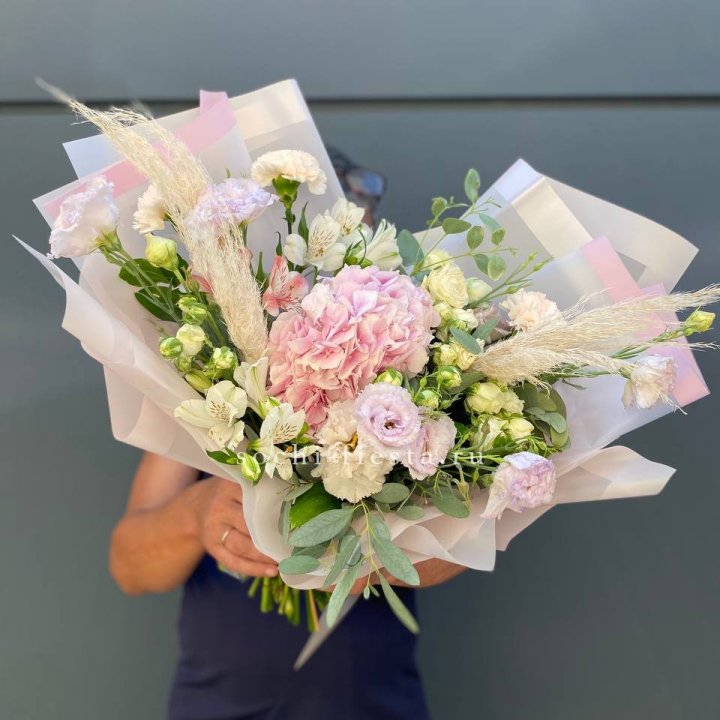 Гортензия "Пинк флоид" в Шахтах