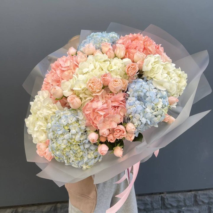 Дуо гортензии и бомбастик в Шахтах