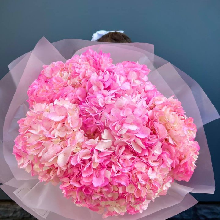 9 ярко розовых гортензий в Шахтах