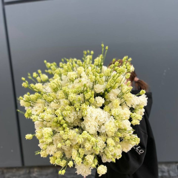 51 белая эустома в Шахтах