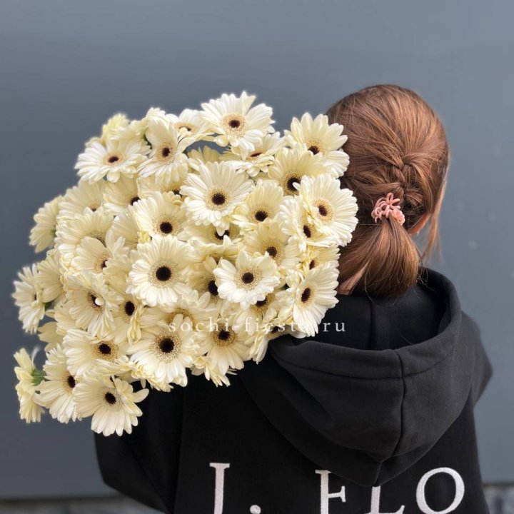 51 гербера в Шахтах