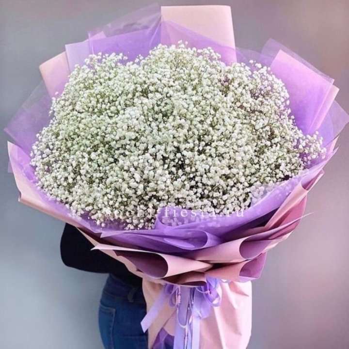 Облако белых гипсофил в Шахтах