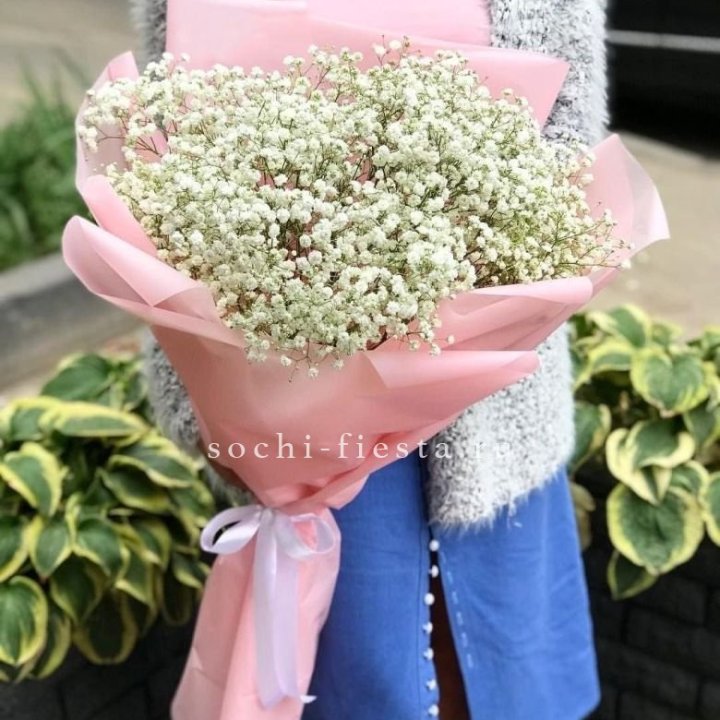 Белоснежные гипсофилы в Шахтах