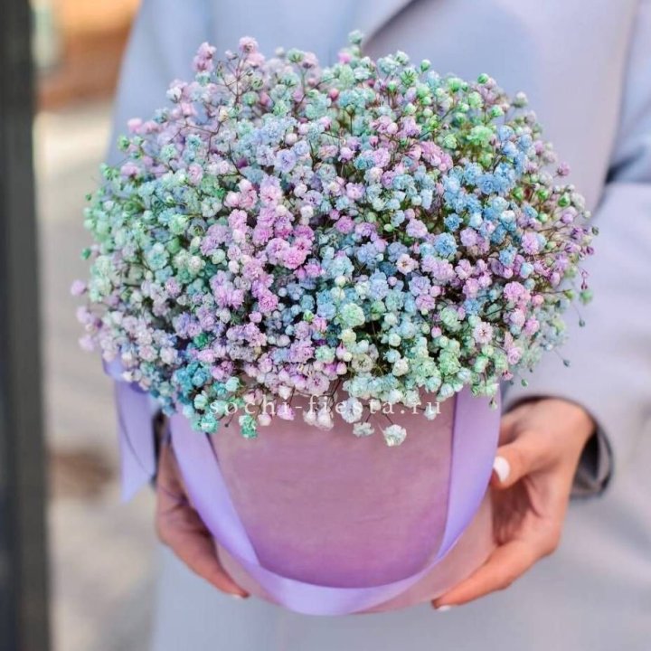 Гипсофилы в шляпной коробке "Кандилайт" в Шахтах