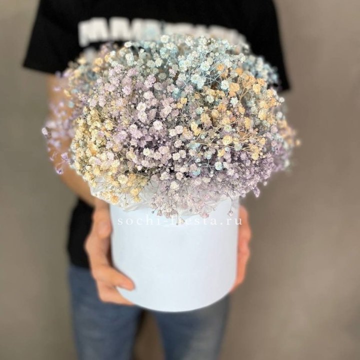 9 Радужных гипсофил в шляпной коробке в Шахтах