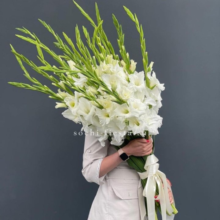 19 белых гладиолусов под ленту в Шахтах