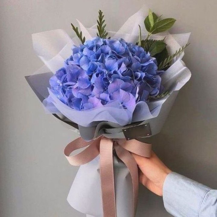 Гортензия голубая в Шахтах