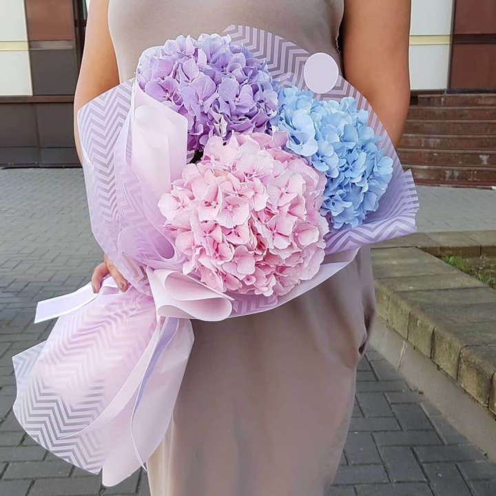 Букет гортензий "Пуф" в Шахтах