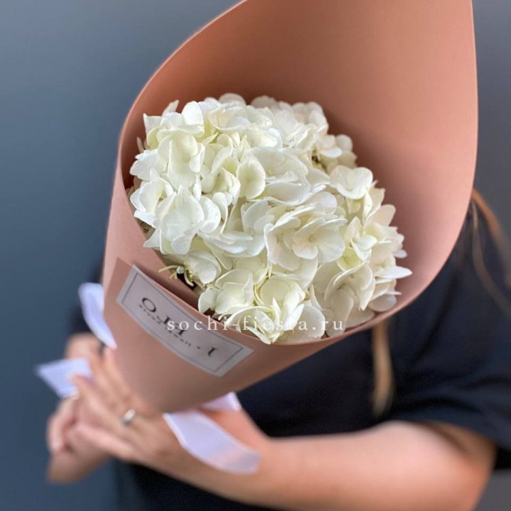 Гортензия в конверте в Шахтах