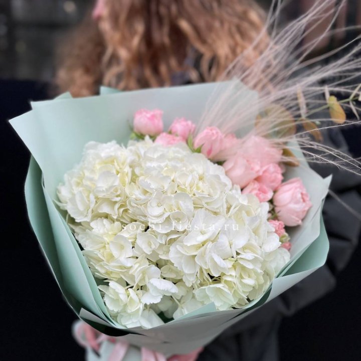 Гортензия "Жасмин" в Шахтах