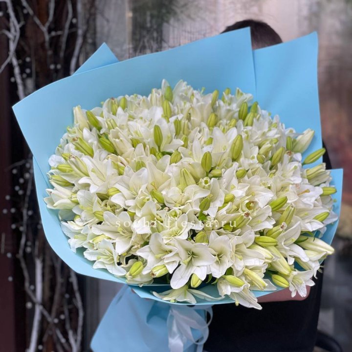 51 лилия в оформлении в Шахтах