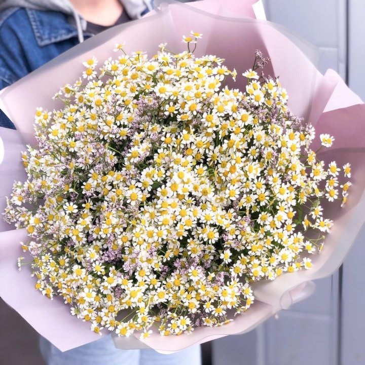 Букет ромашек №1 в Шахтах