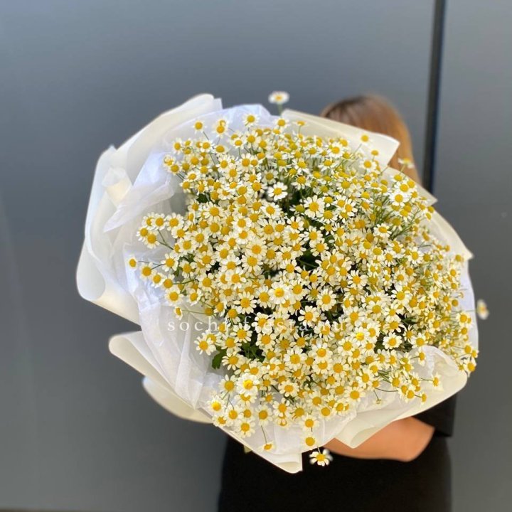 Букет ромашек "Фемели" в Шахтах