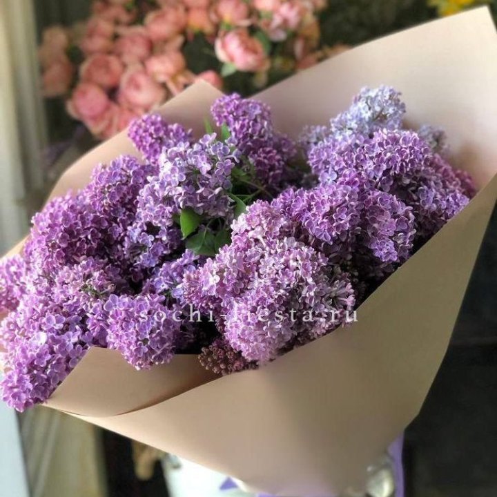 Букет сирени №2 в Шахтах