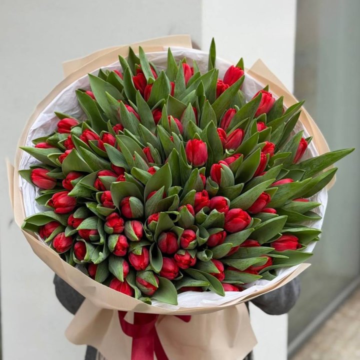 101 красный тюльпан в Шахтах