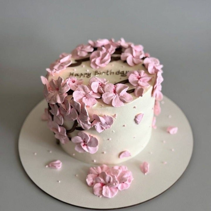 Бенто-торт "С днём рождения..." в Шахтах