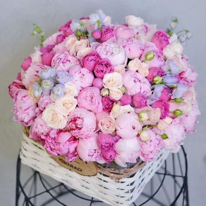 Композиция "Черри" в Шахтах