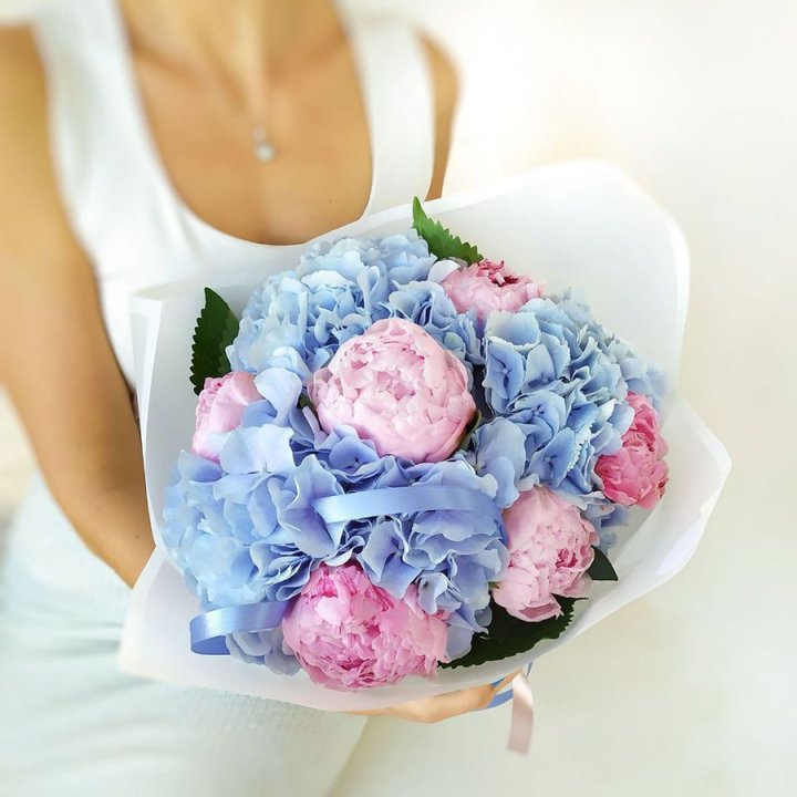 Гортензия и Пионы в Шахтах