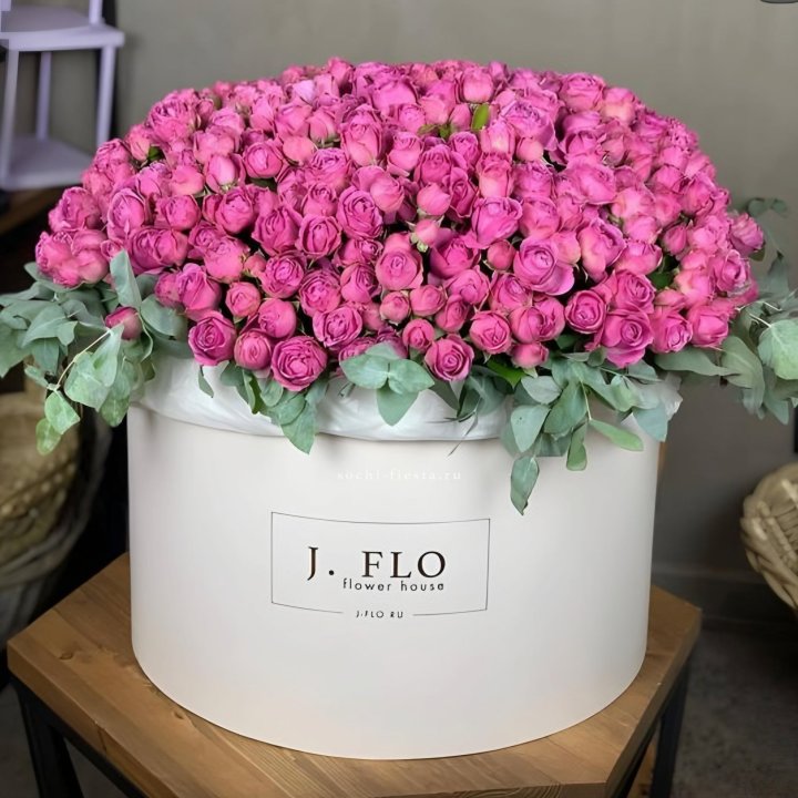 Цилиндр с Мисти Бабблс  в Шахтах