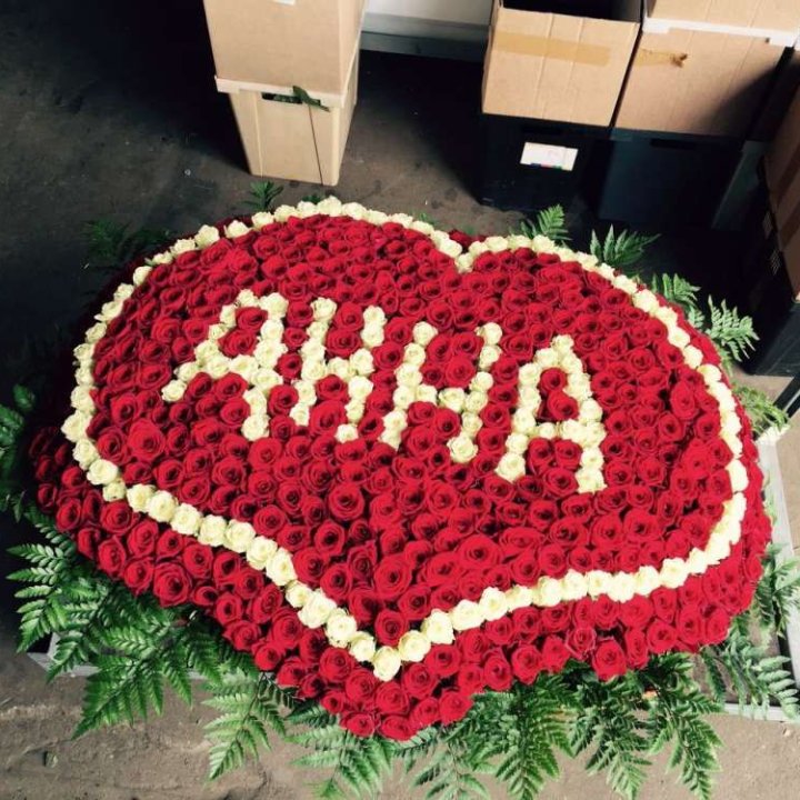 555 роз с именем в Шахтах