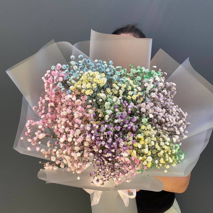 Радужные гипсофилы  в Шахтах