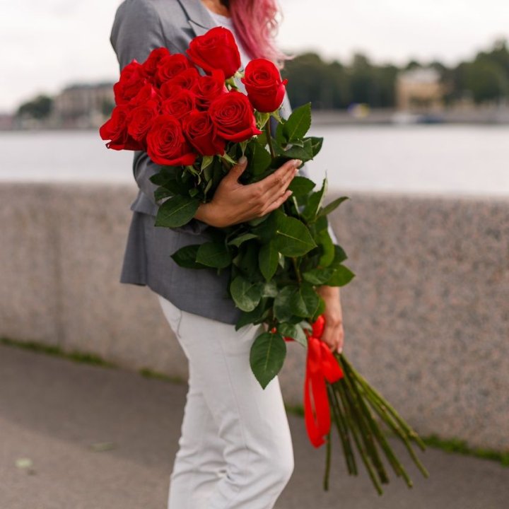 15 метровых голландских роз в Шахтах