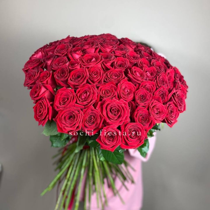 101  голландская роза  в Шахтах