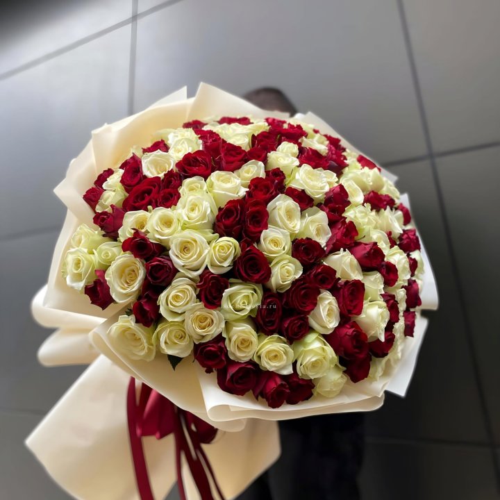 101 высокая импортная роза  в Шахтах