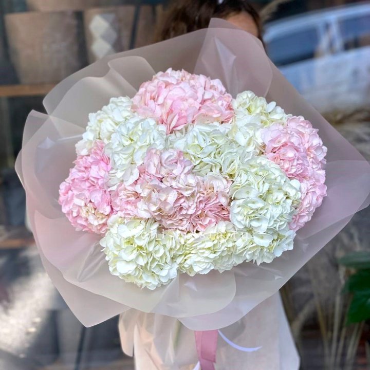 Букет гортензий № 3 с доставкой в Шахтах