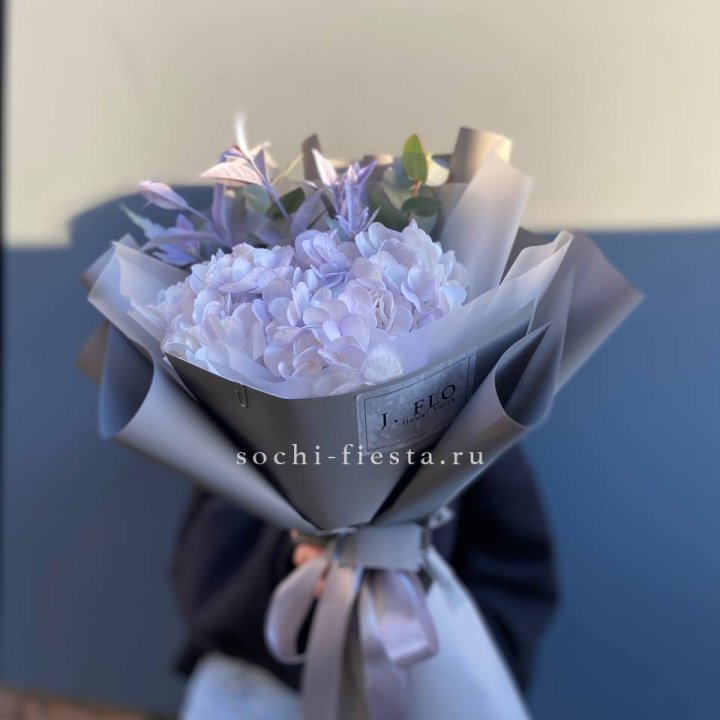 Гортензия "Виолета" в Шахтах