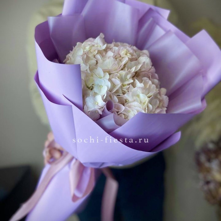 Гортензия розовая в Шахтах