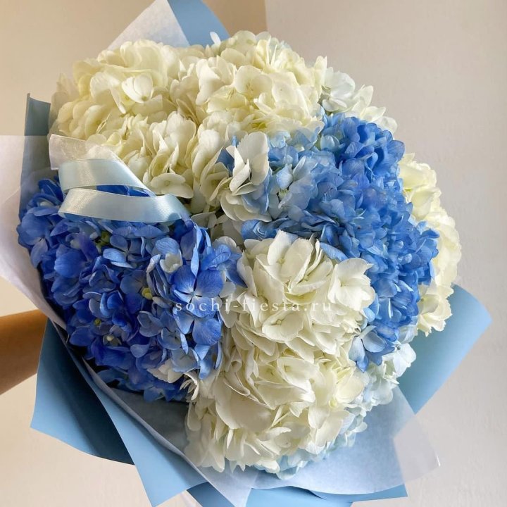 Букет гортензий "Голубая лаза" в Шахтах