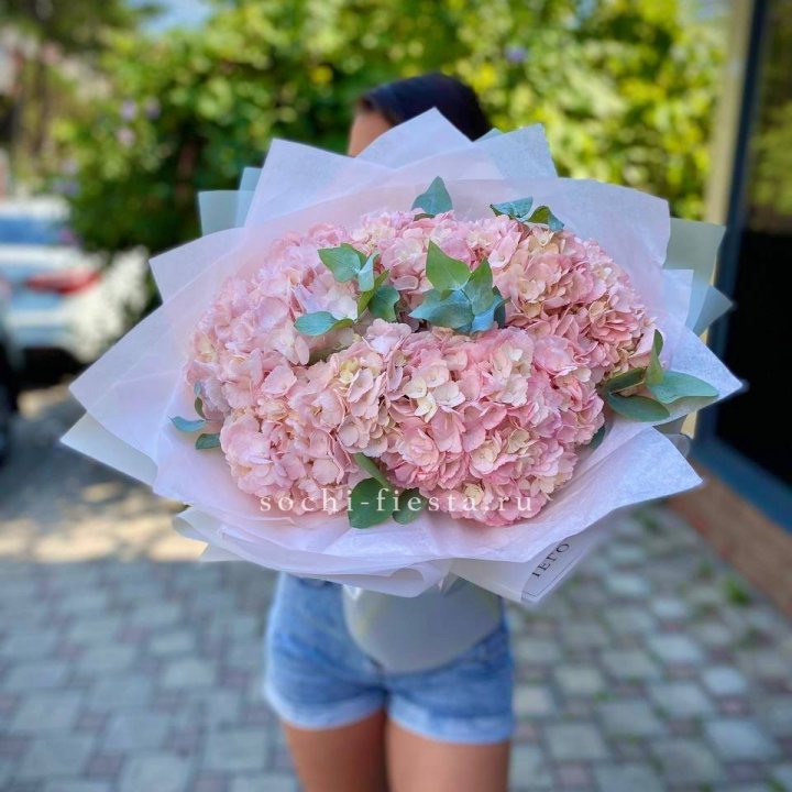 5 розовых гортензий  в Шахтах