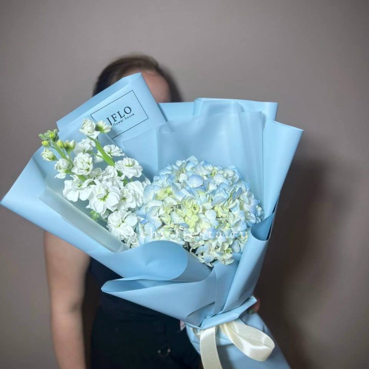 Гортензия голубая с маттиолой в Шахтах