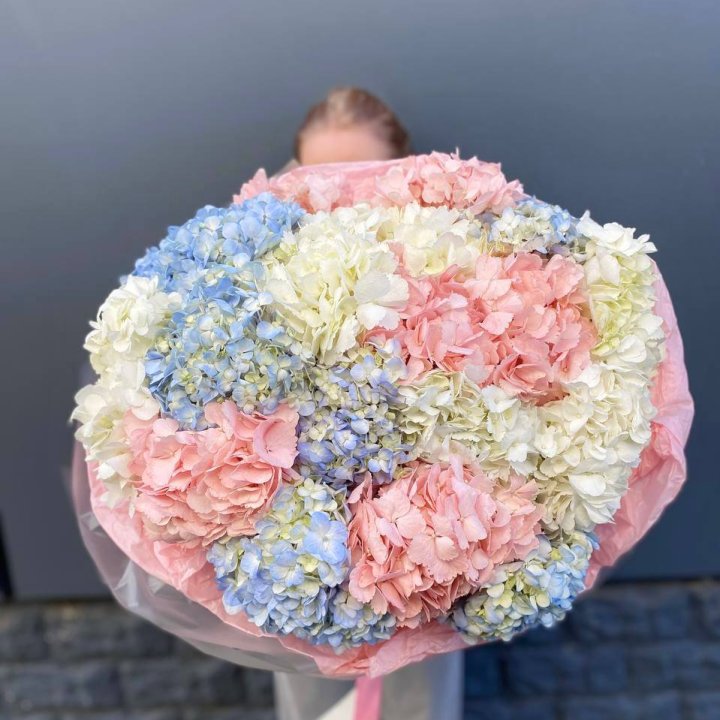 19 гортензий микс в Шахтах