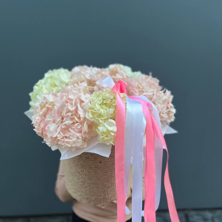 7 гортензий в кашпо в Шахтах