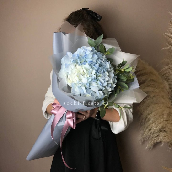 Гортензия Уно в Шахтах