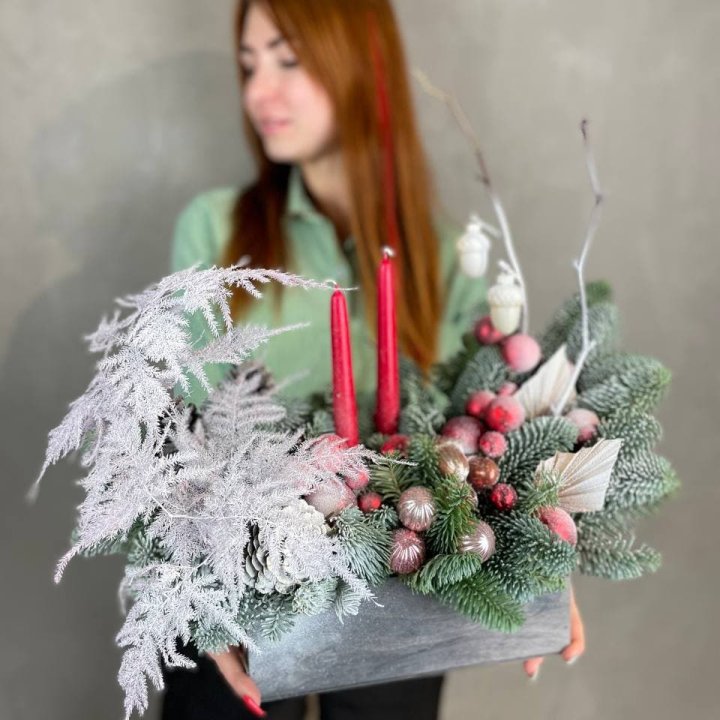 Бокс красный с нобилисом в Шахтах