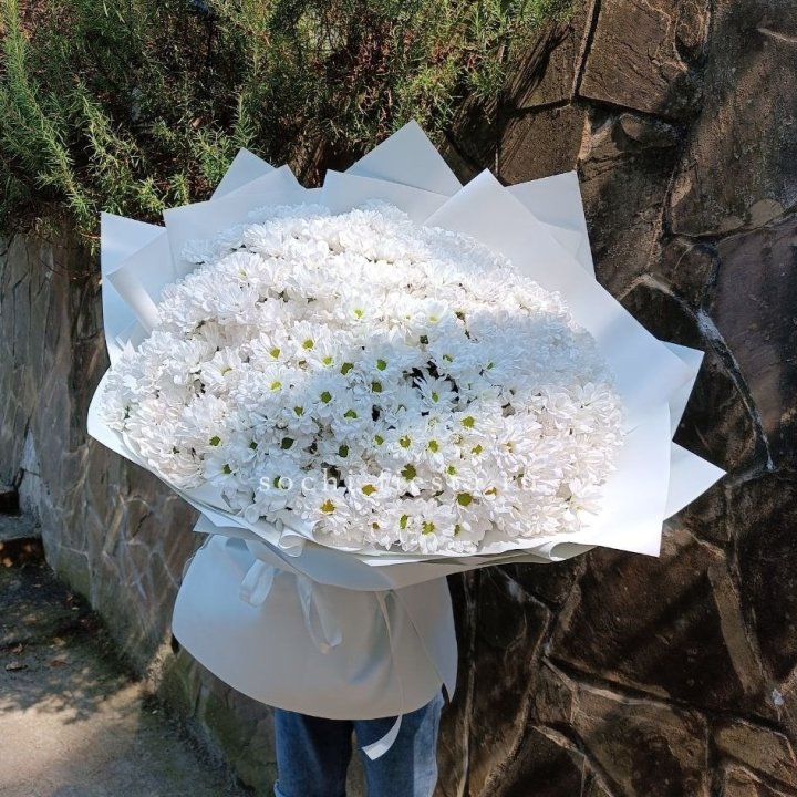 Облако хризантем №2 в Шахтах