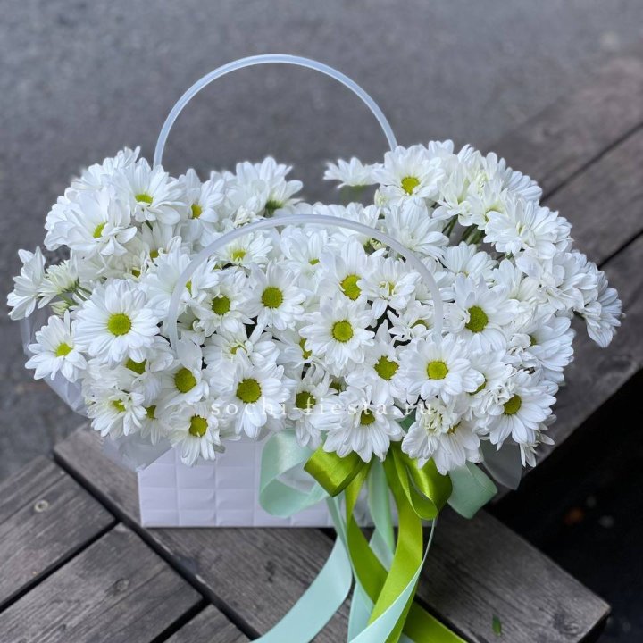 Сумка с хризантемами ромашками в Шахтах