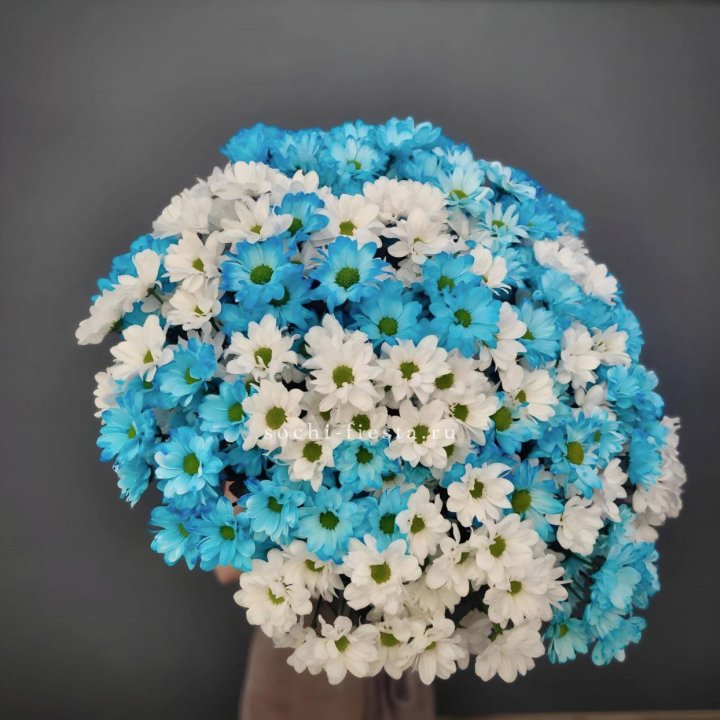  Букет хризантем микс в Шахтах