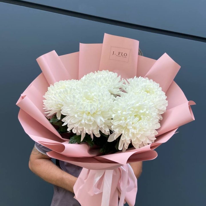 Профитроли №2 в Шахтах